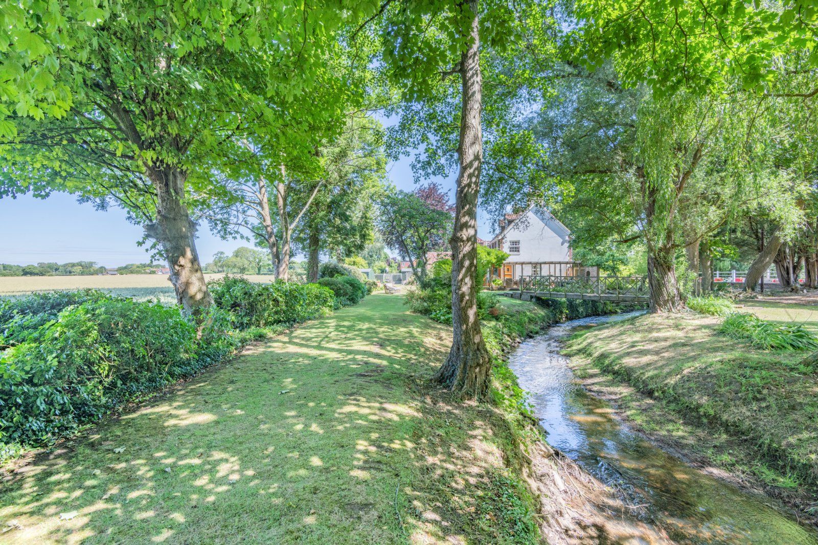 Grounds