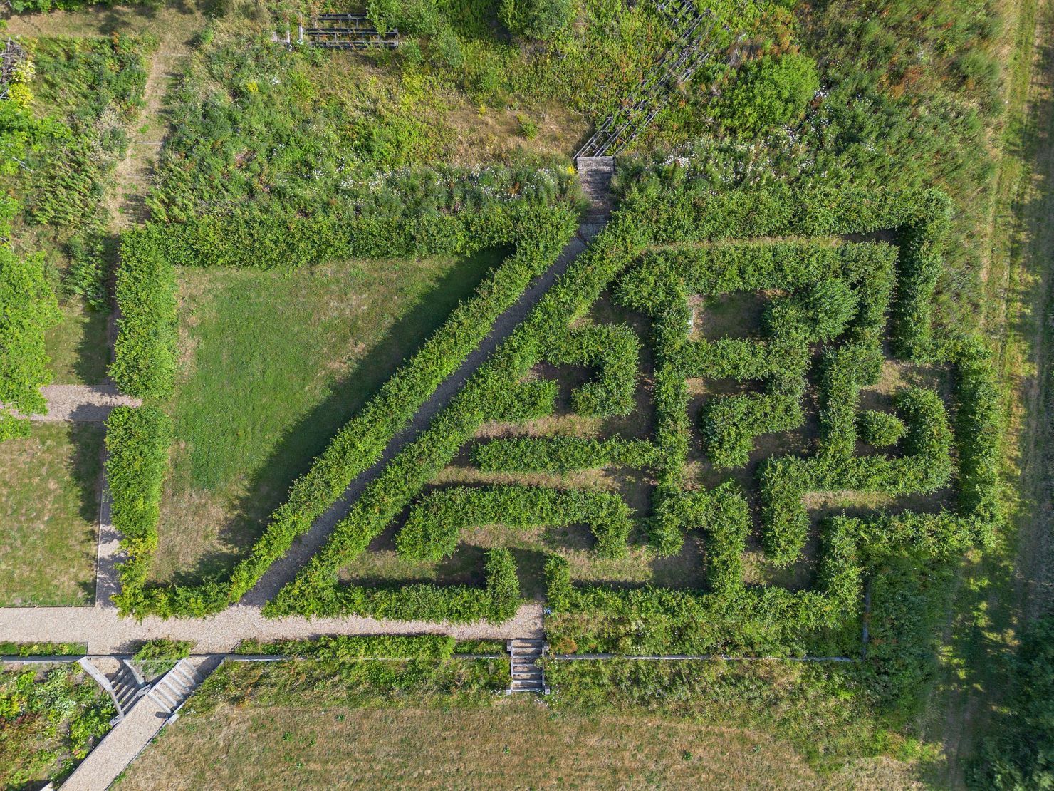 Maze