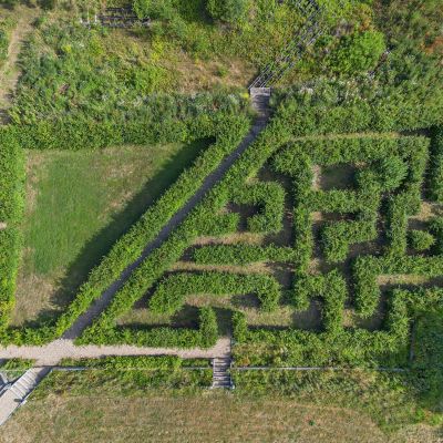 Maze