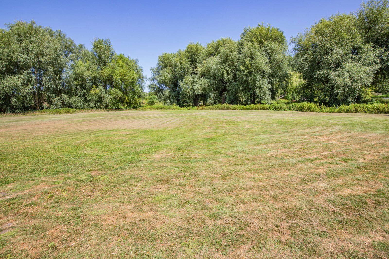 Grounds