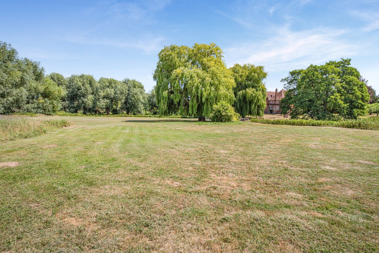 Grounds