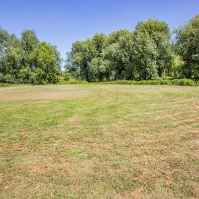 Grounds