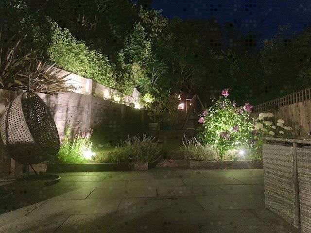 Garden At Night