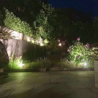 Garden At Night