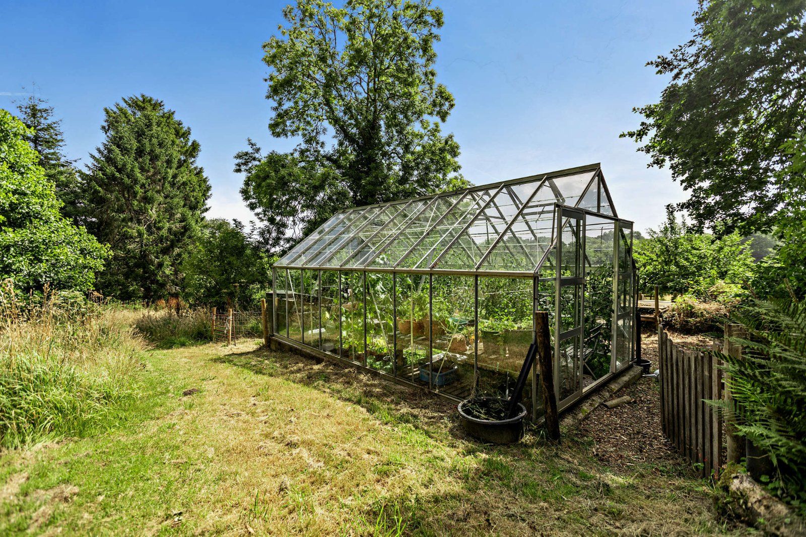 Grounds