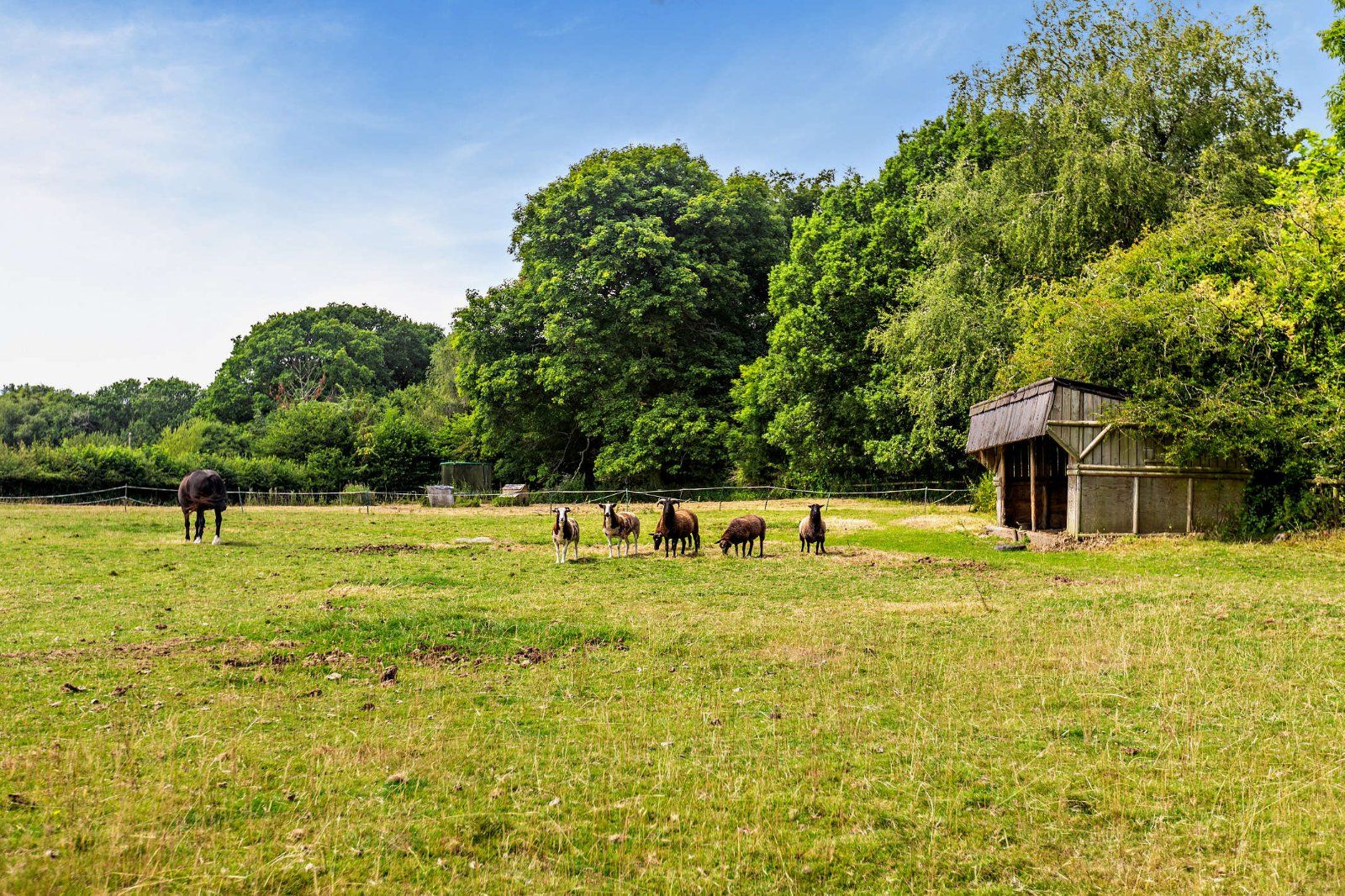 Grounds