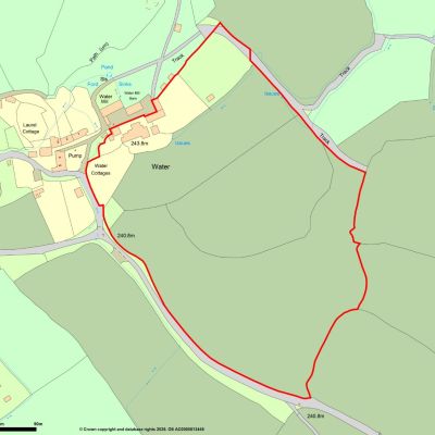 Land Plan