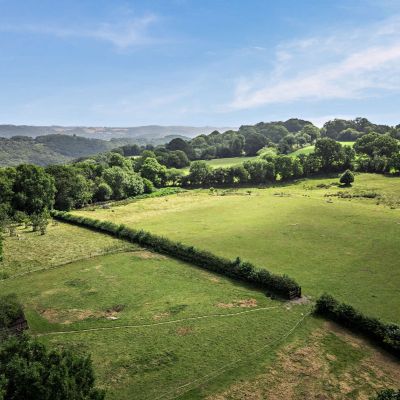 Grounds