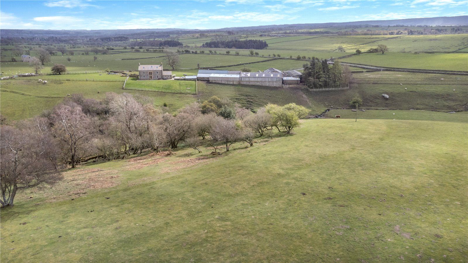 Land & Views