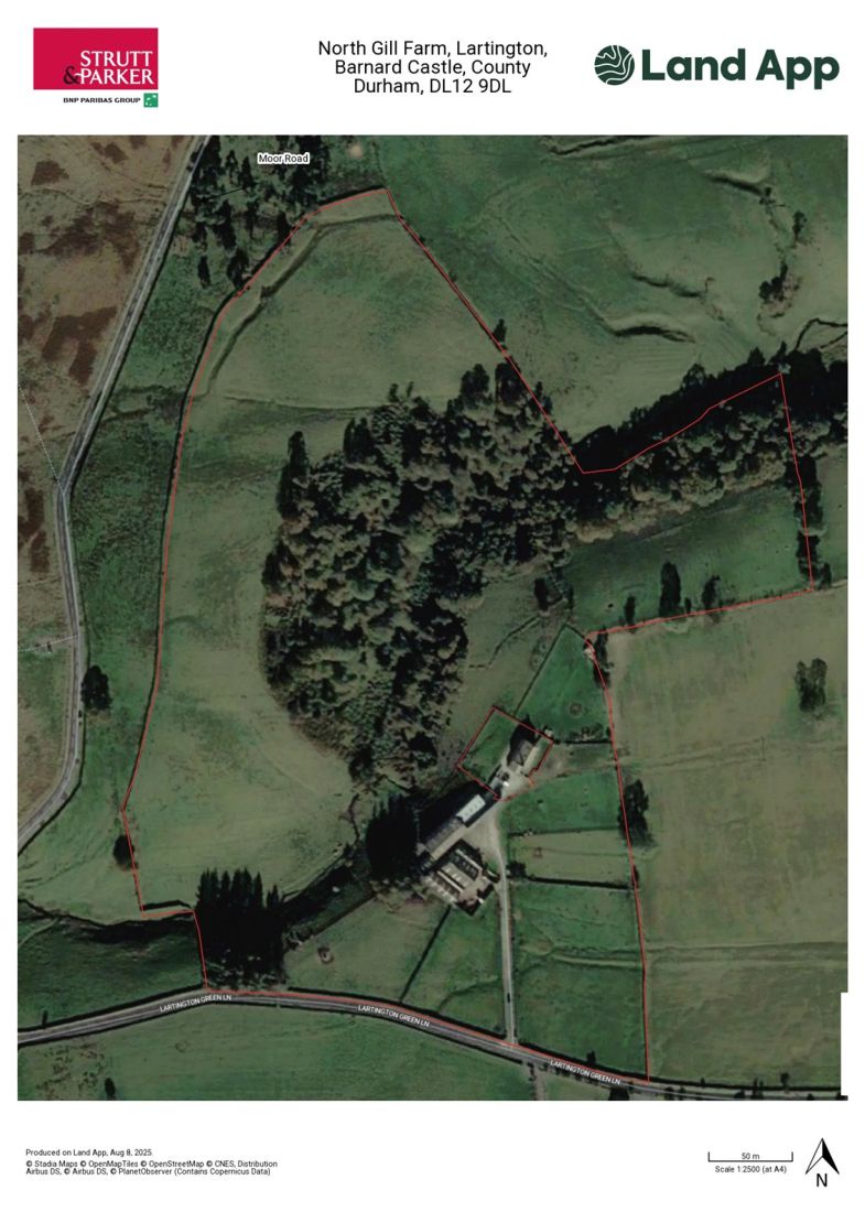 Land Plan