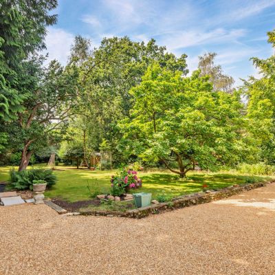 Garden & Driveway