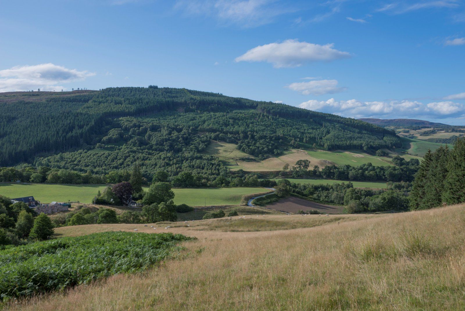 Clunemore