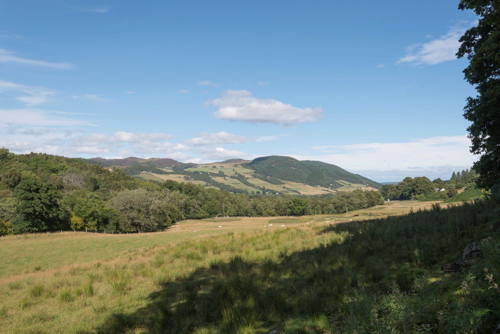 Clunemore