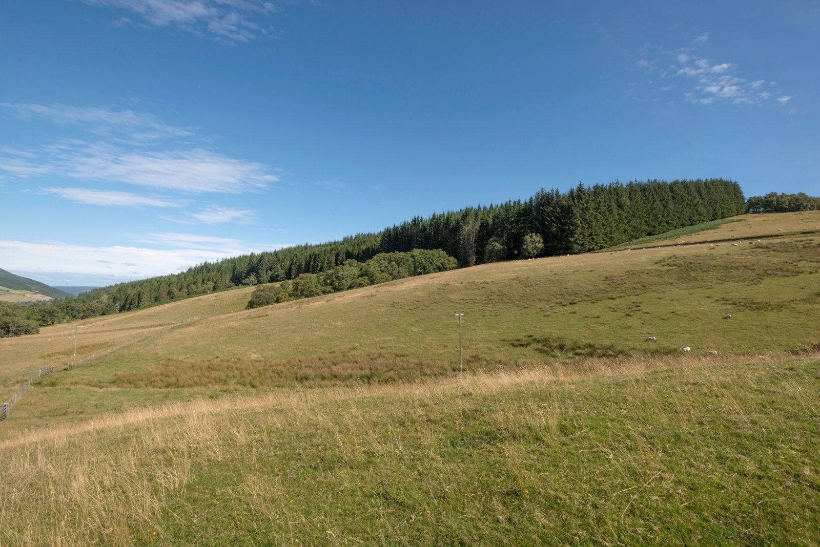 Clunemore