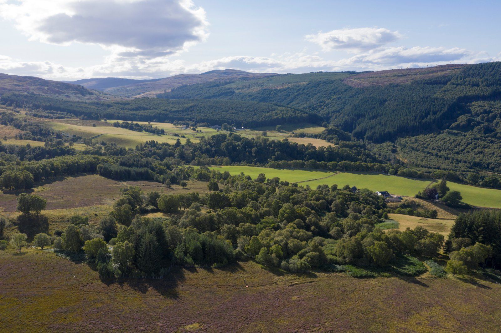 Clunemore