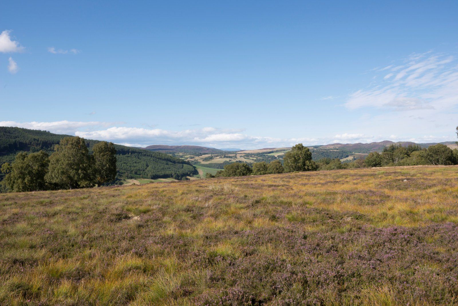 Clunemore