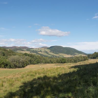 Clunemore