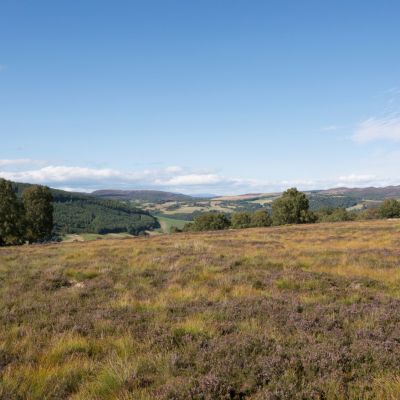 Clunemore