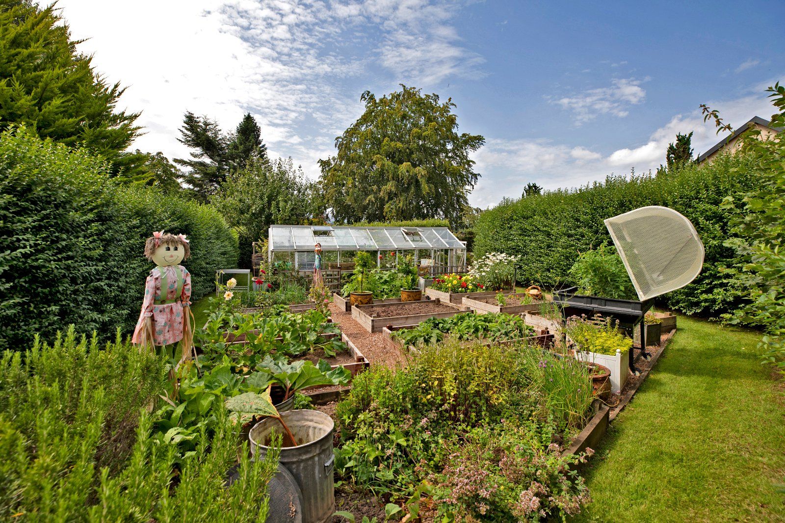 Grounds