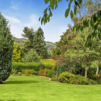 Grounds