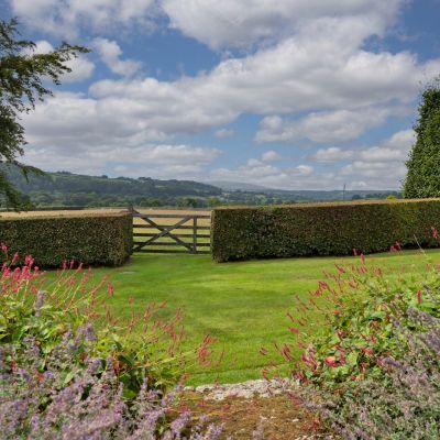 Grounds