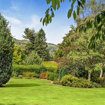 Grounds