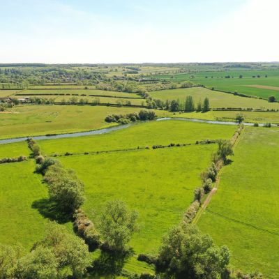 Pasture