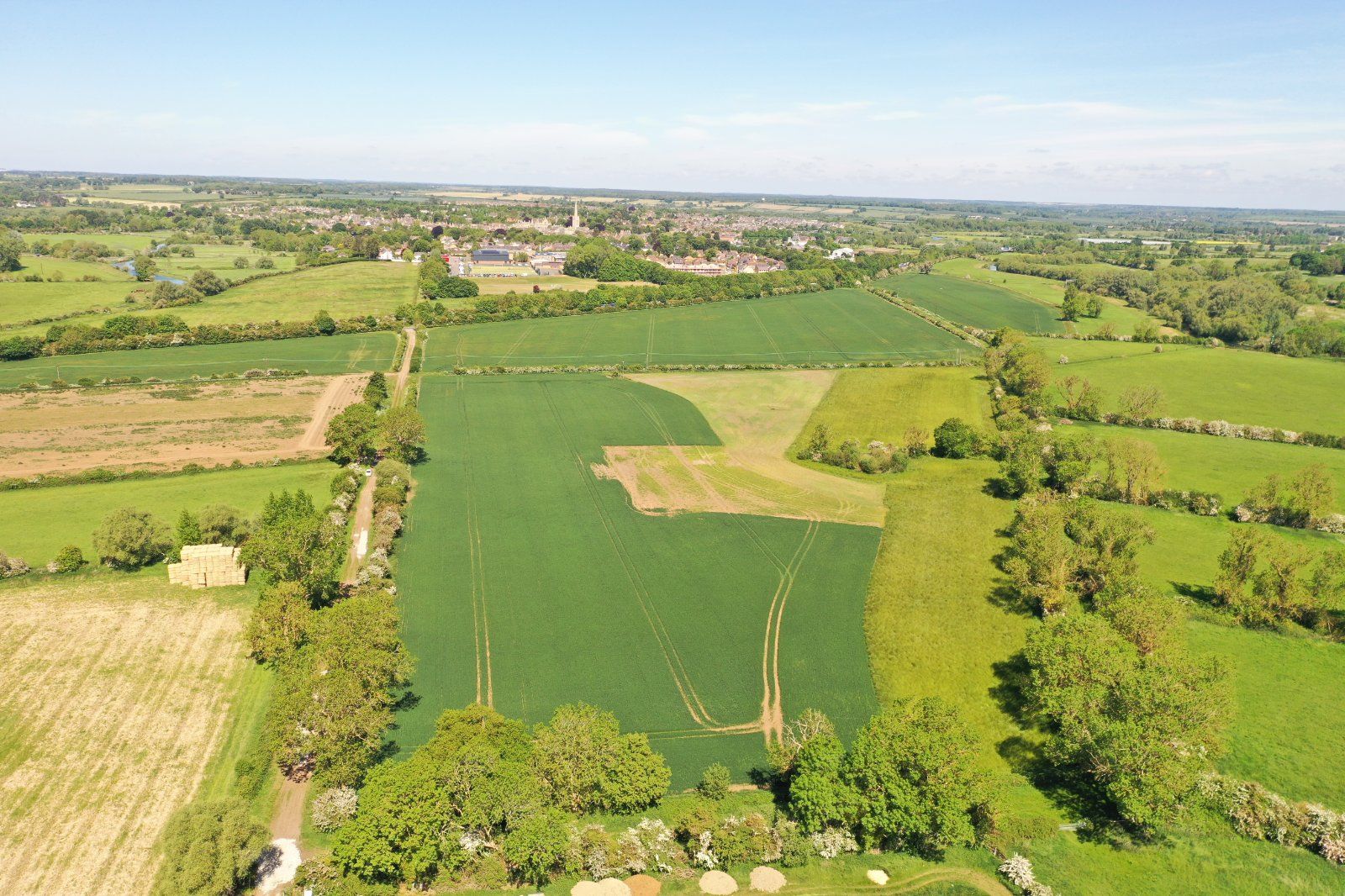 Arable Land