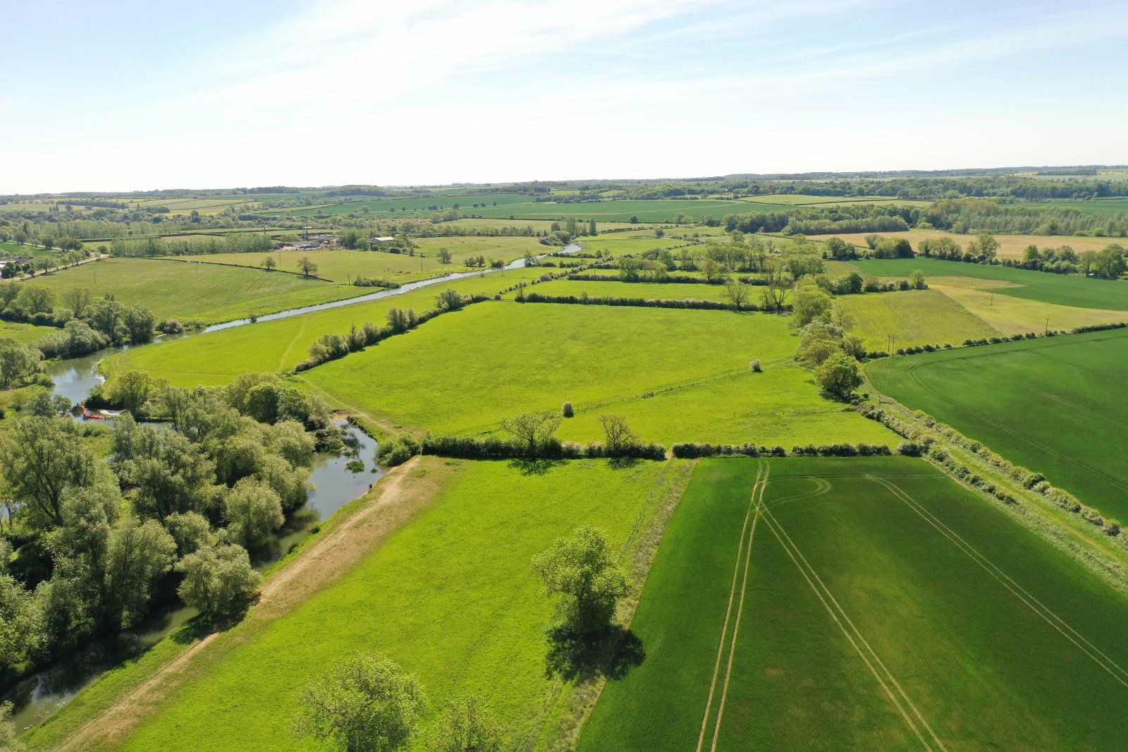 Pasture