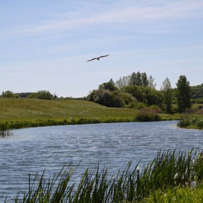 River Nene
