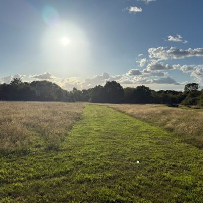 Meadow