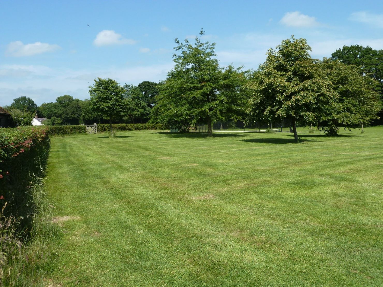 Grounds