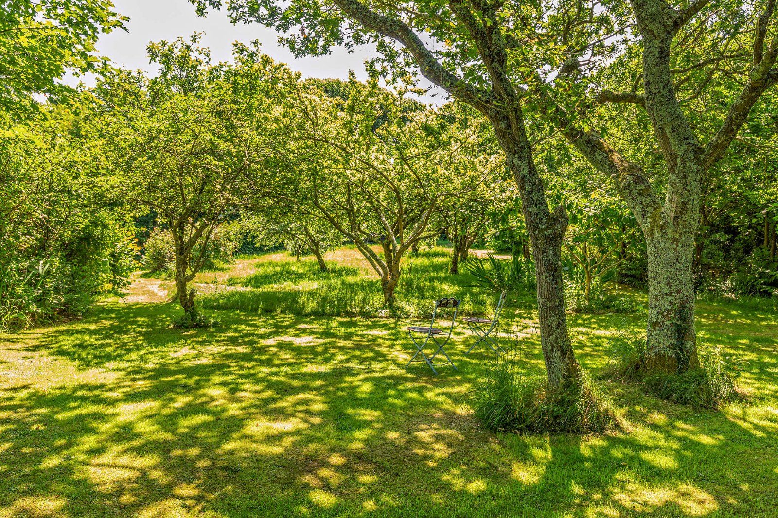 Grounds