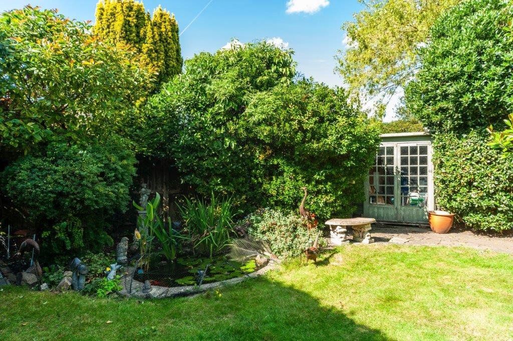 Garden With Pond