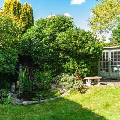 Garden With Pond