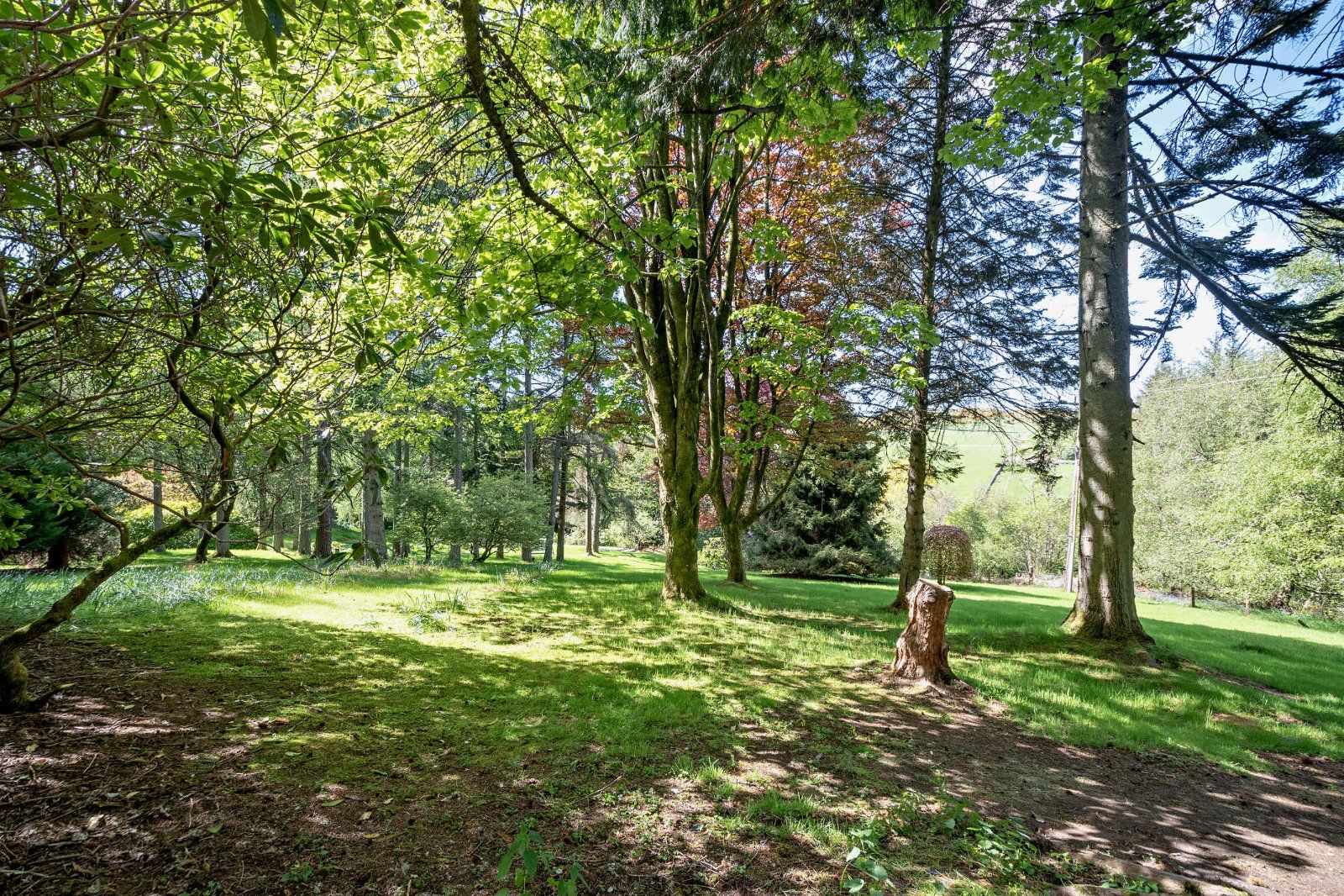 Expansive Grounds