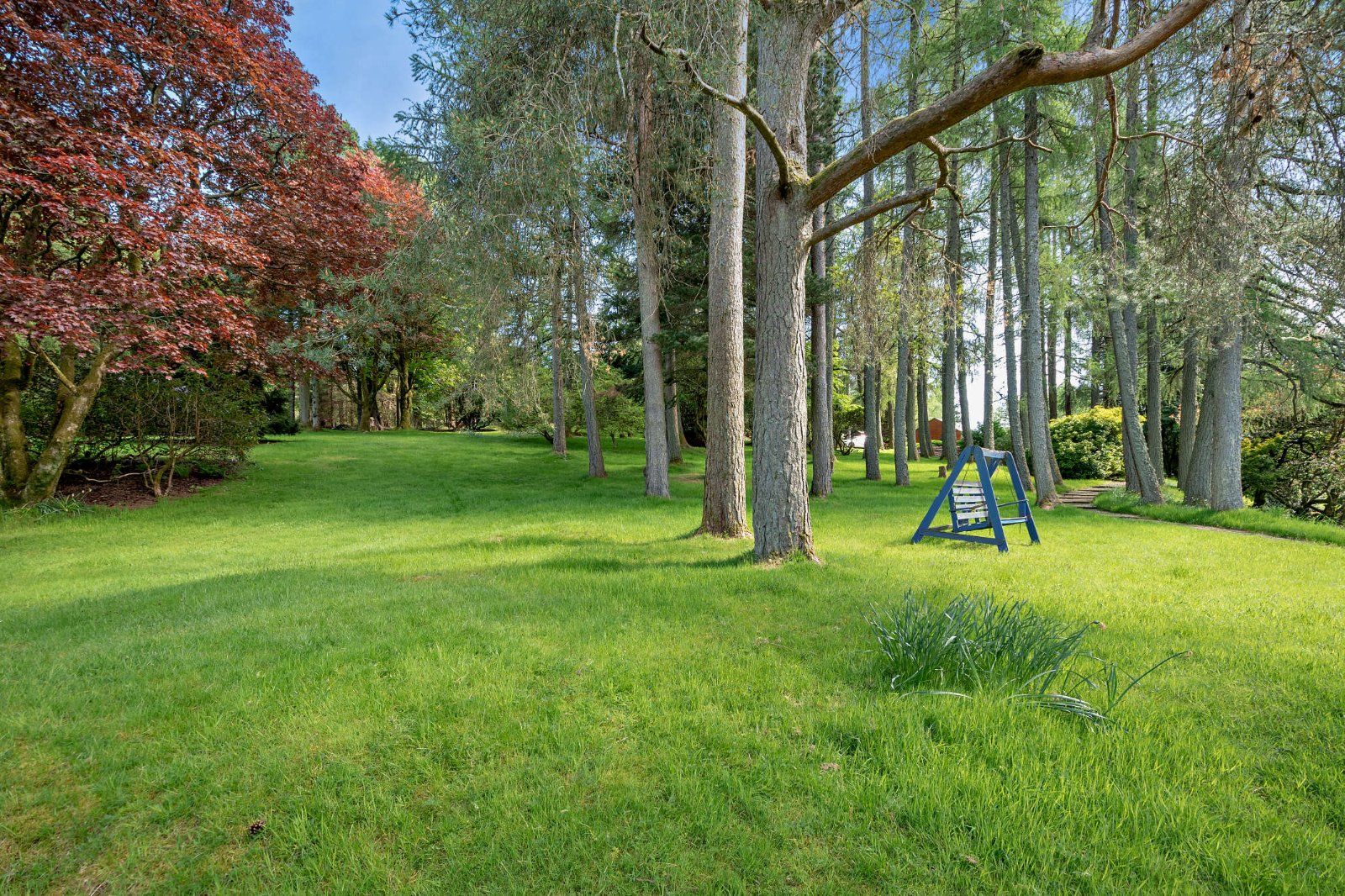 Expansive Grounds