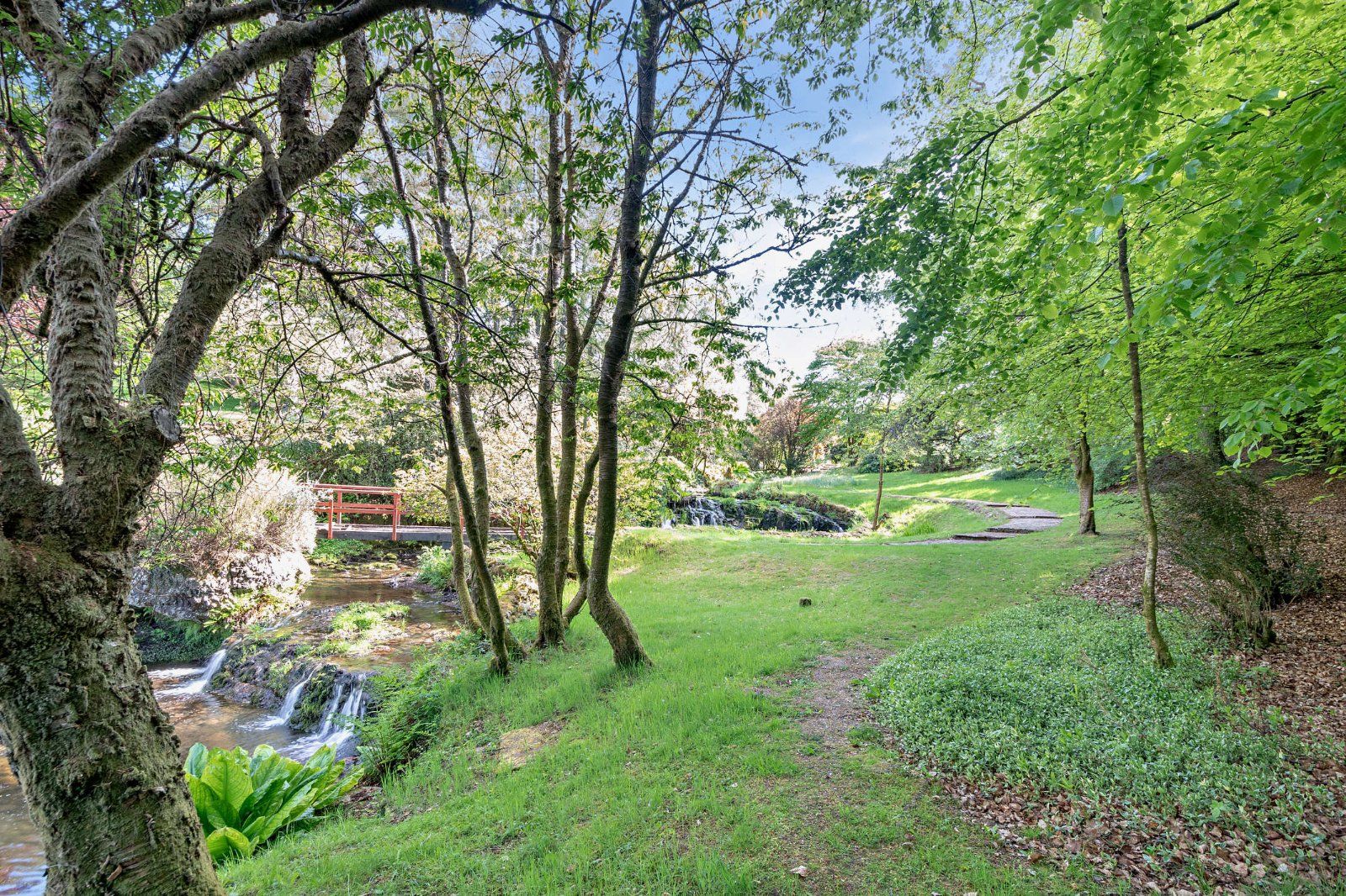 Expansive Grounds