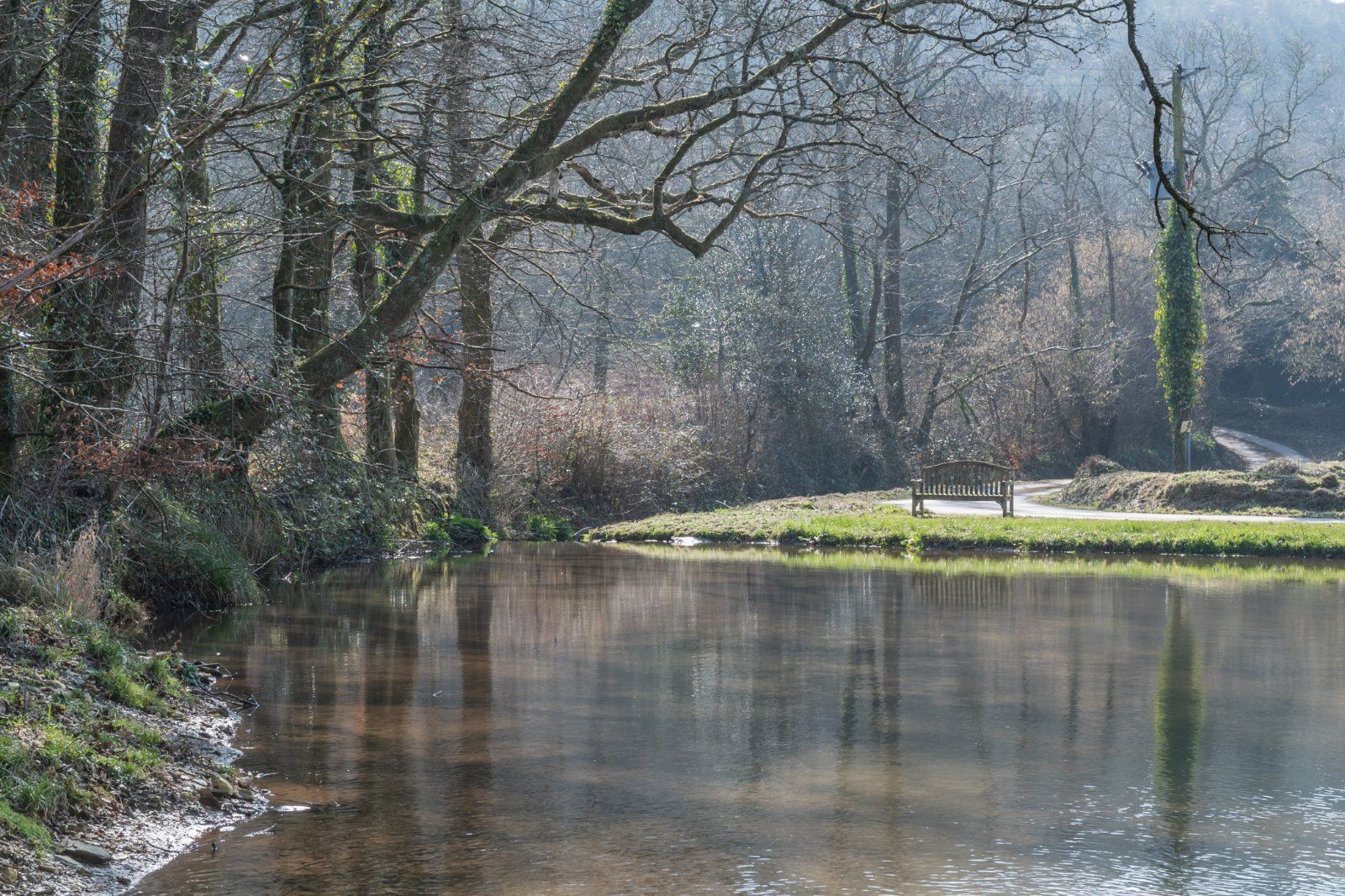 Fishing Pond
