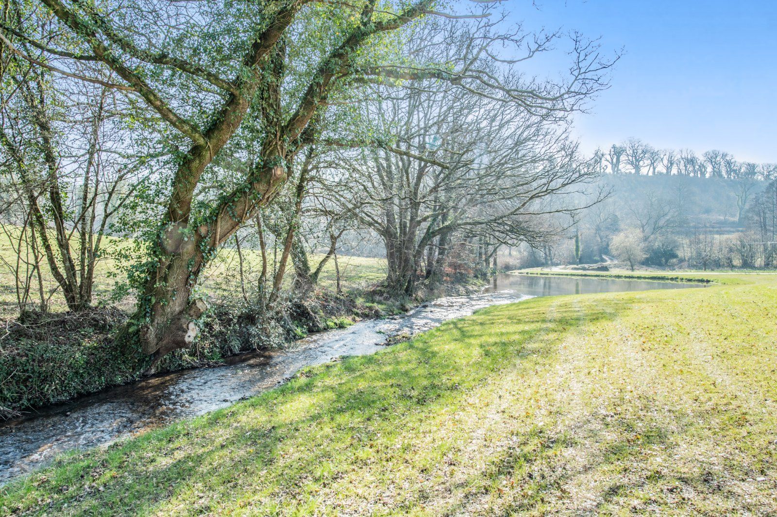 Trout Stream
