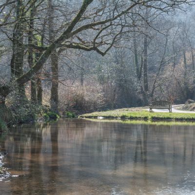 Fishing Pond