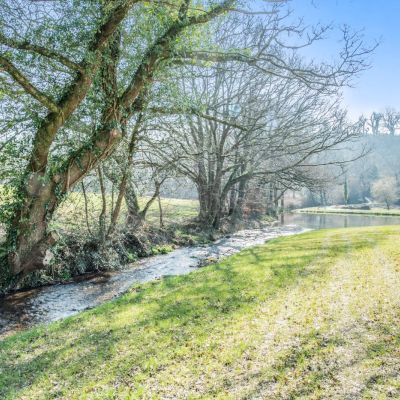 Trout Stream
