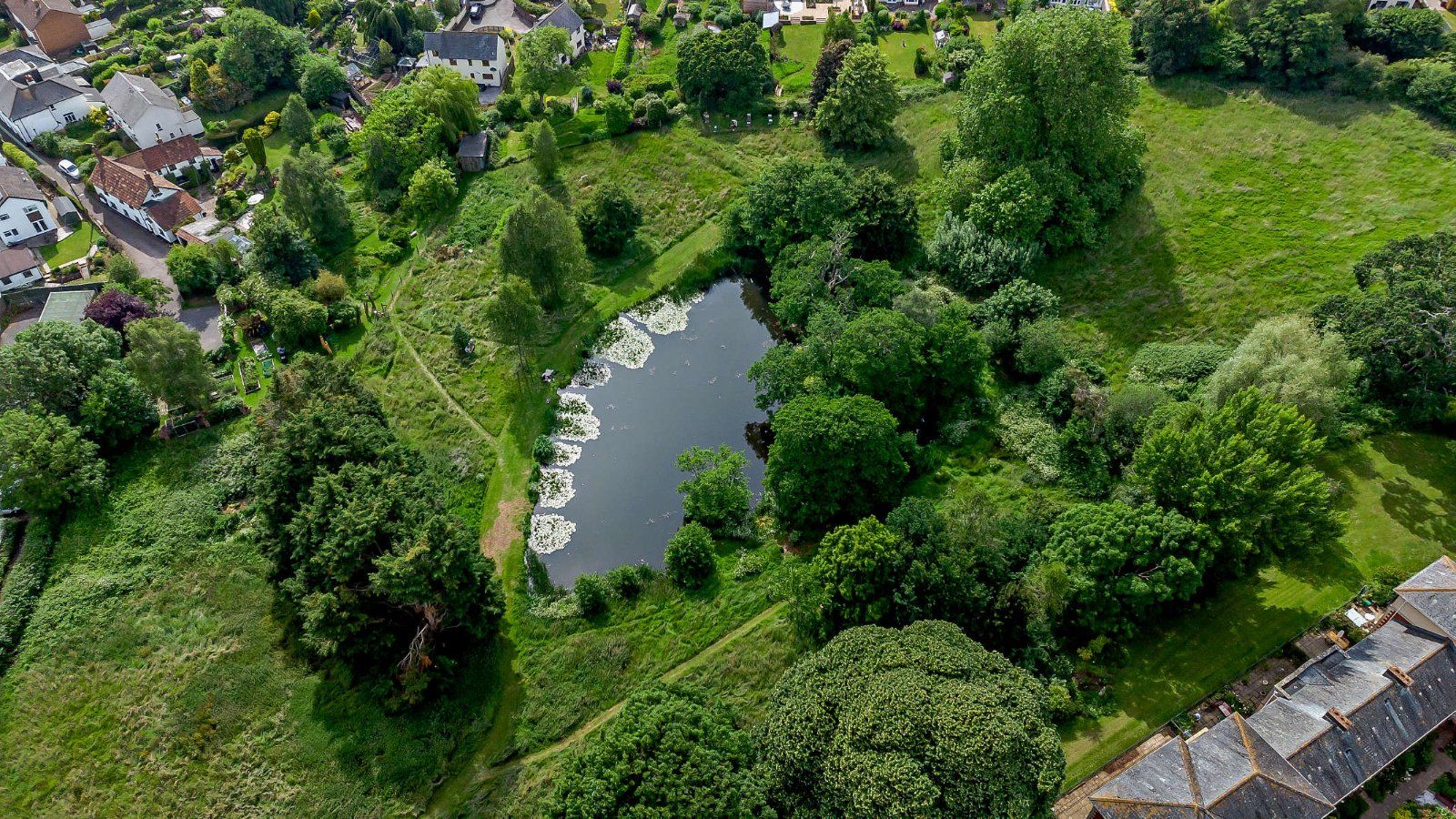 Grounds