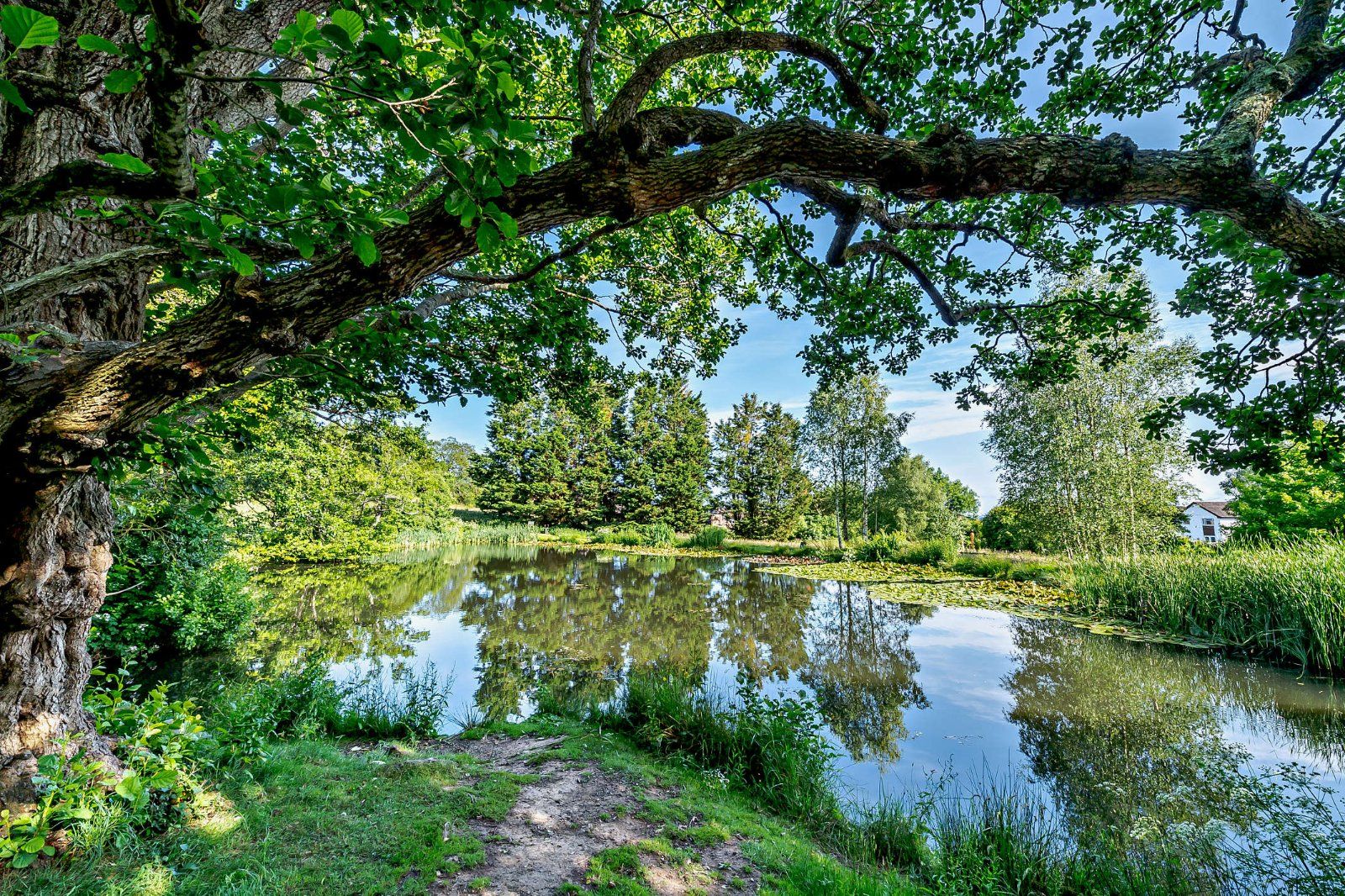 Grounds