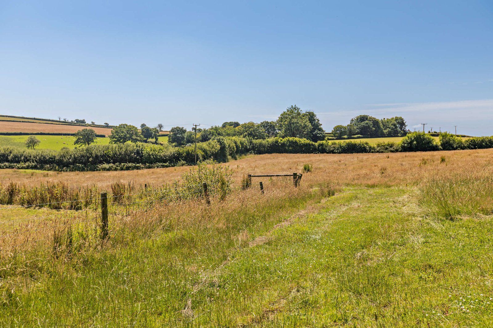 Grounds