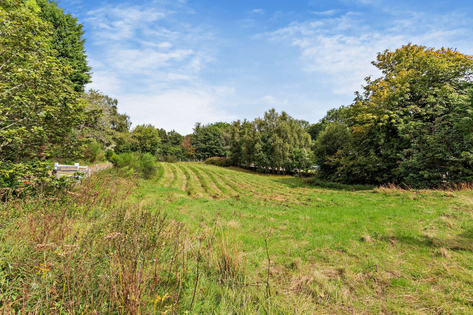 Migdale