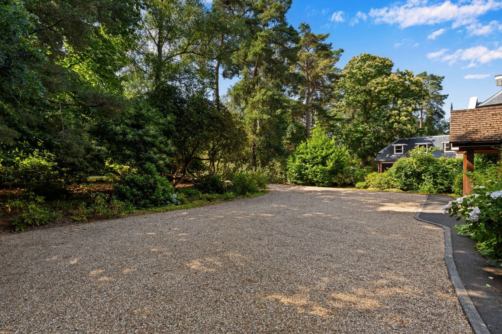 Driveway