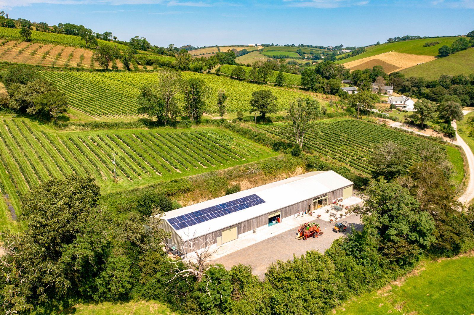 The Winery