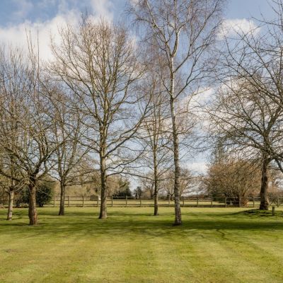 Grounds