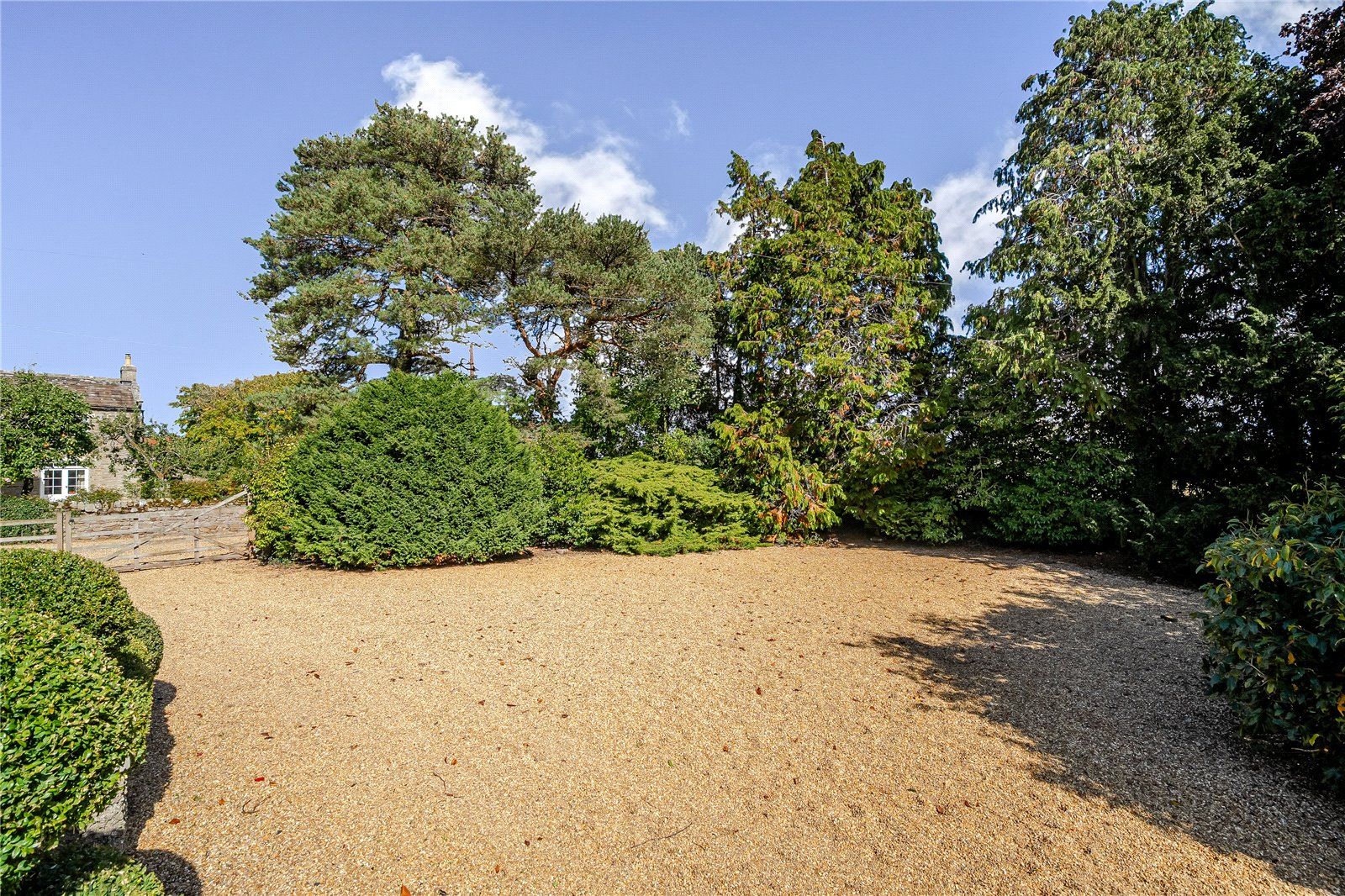 Ample Parking